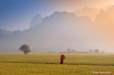 Winter Morning of Hpaan