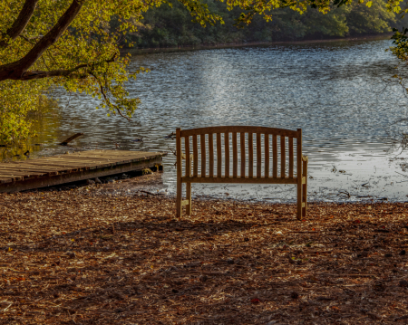 Serenity In Autumn