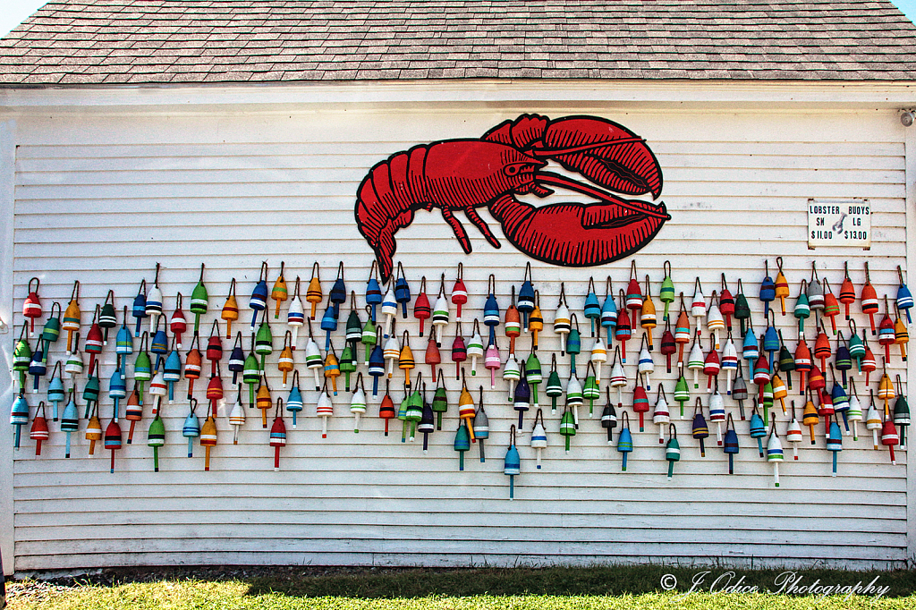 Wall of Buoys