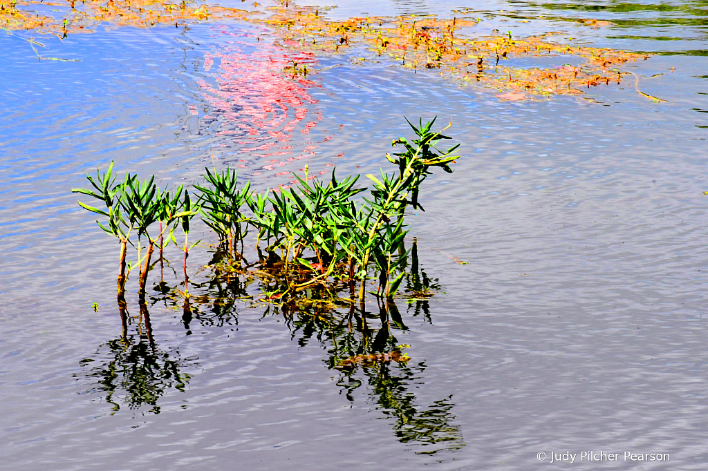 the weed wiggle water dance.....