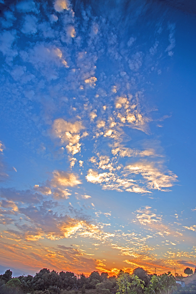 Sunsetting cloud colors.