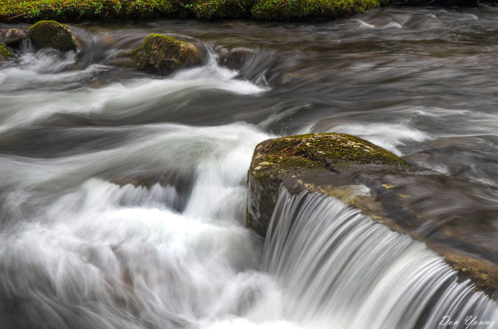 Smoky Mountain Stream