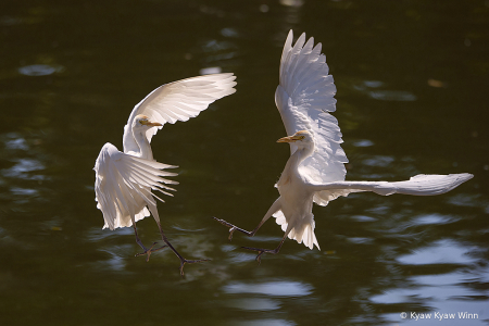 Fighting in the Air