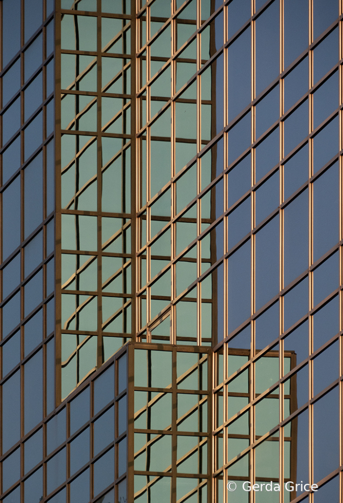 Reflections on a Sunny Day