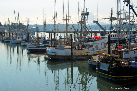 Fishing Vessels In Newport Oregon