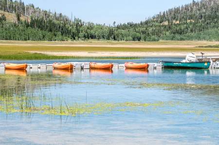 Canoes 