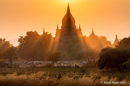 Rays of Light Over the Temple 