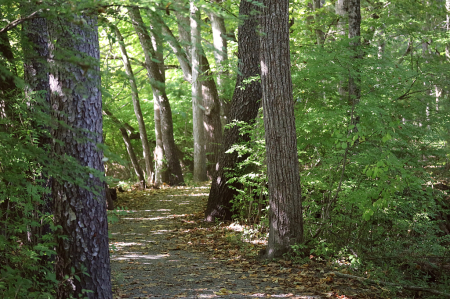 River Walk path