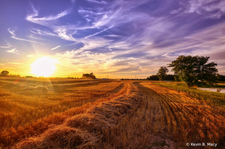 Sunset at Harvest