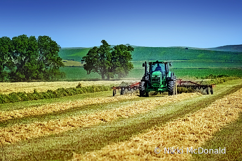 Turning the Windrows