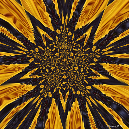 Sunflower Star