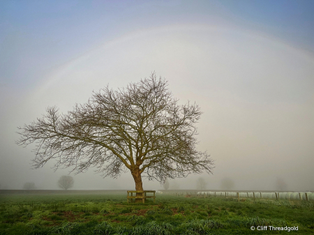 Fog Bow