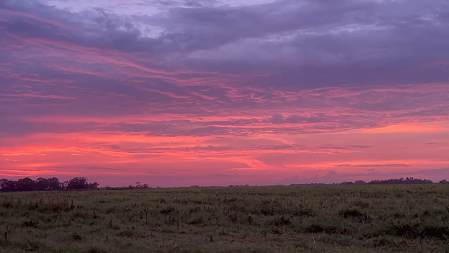 Skies of pink and purple 