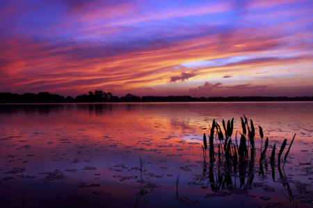 Red Morning Calm