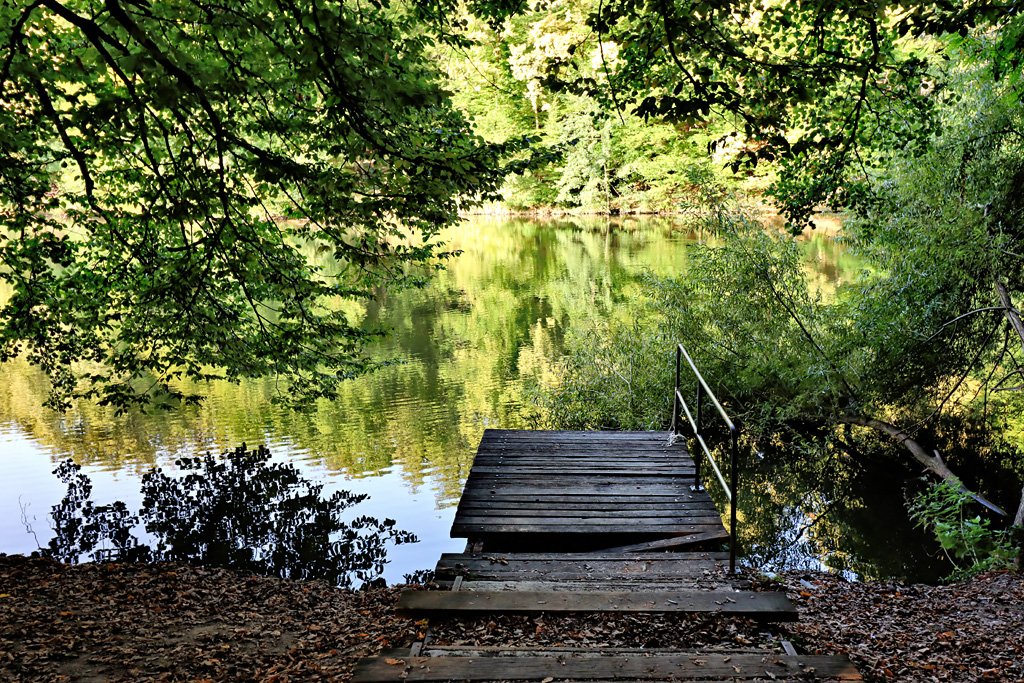 By the Lake