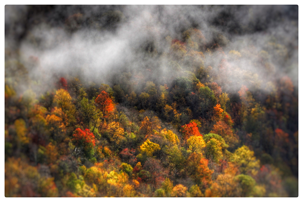 Looking Down On Carolina Color