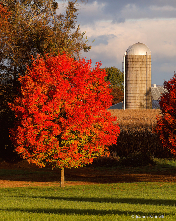 "Sunrise on the Silo"