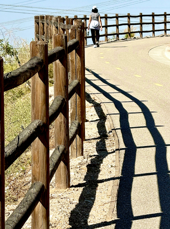 Curved Railing