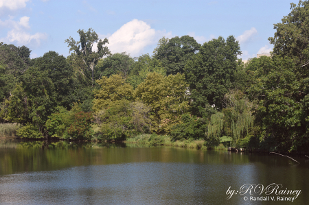 Annapolis Waterway in summer...