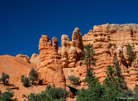 Hoodoos With Trees