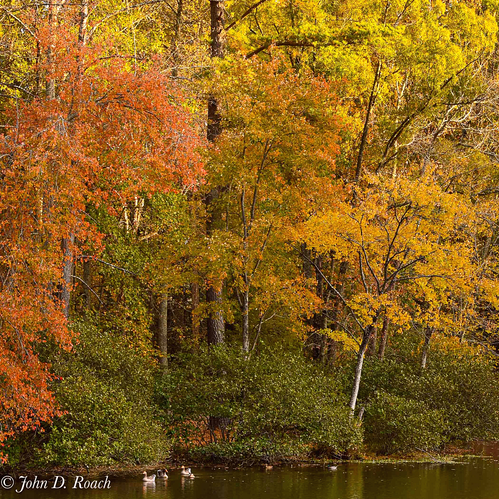 Fall at the Lake