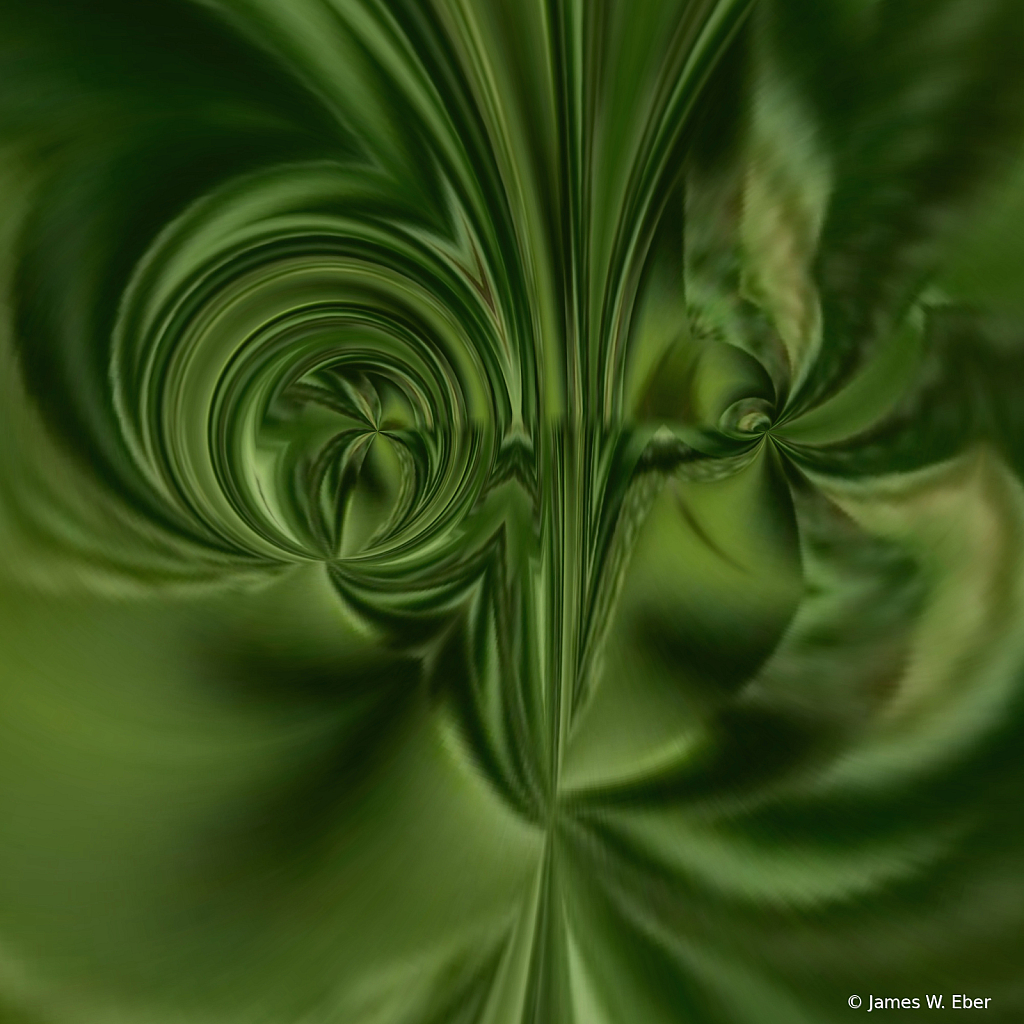 Swirled Catcus