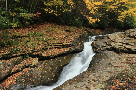 Rushing Through Fall