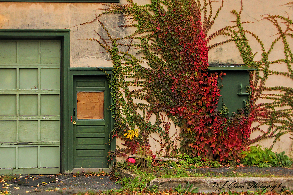 Pleasant Street Doors