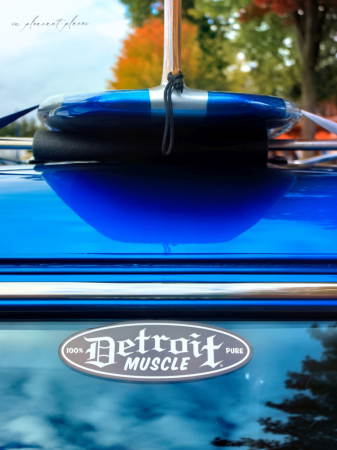 Detroit Muscle