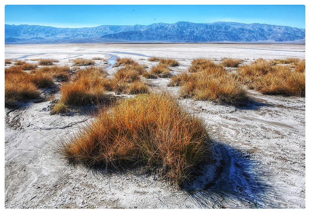 Salt Flat - Death Valley 