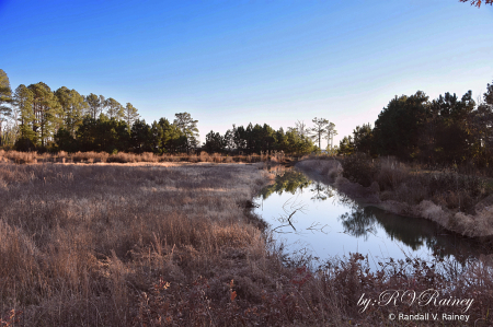 A Clear Sky at Blackwater Park...