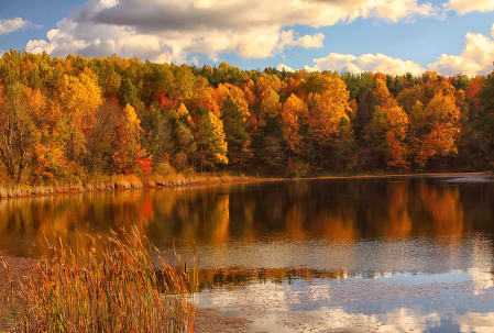 Fall Reflections