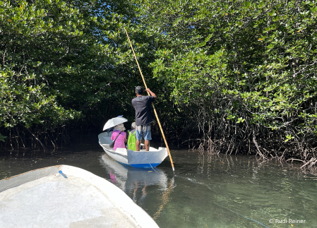 Into the mangrove, Lemborgan Island