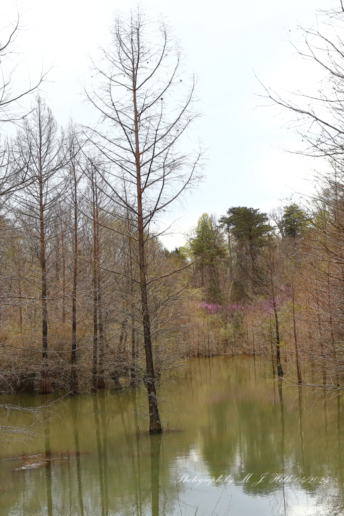 Bernheim Arboretum & Research Forest