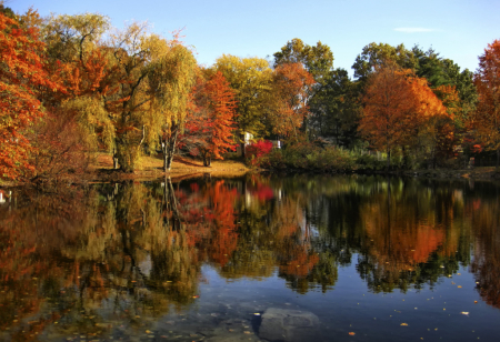 On Golden Pond