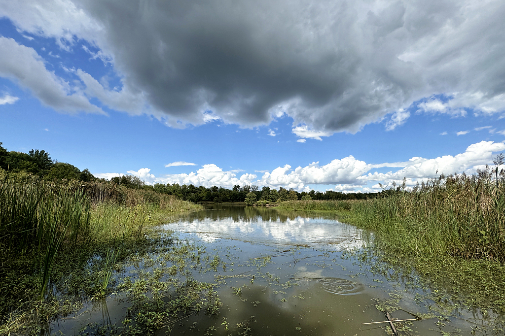 Isolated Shower