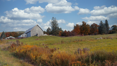 While in Vermont