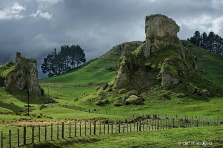 Waikato Landscape 2