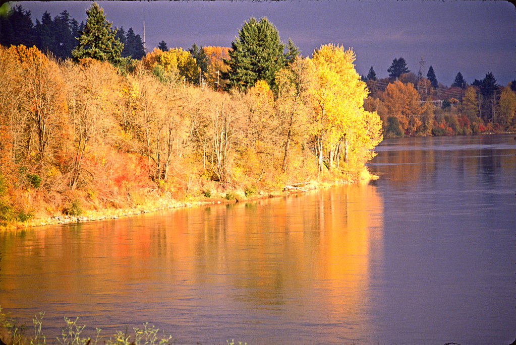 Fall on the Willamette River