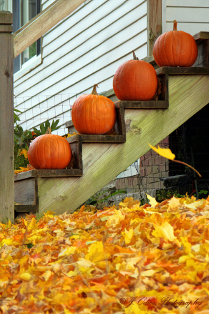 4 Pumpkins