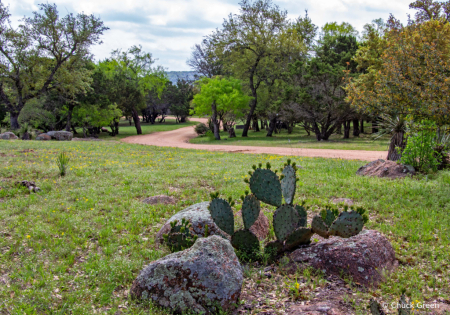 Texas Hill Country Spring 4