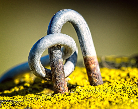 Fence staples