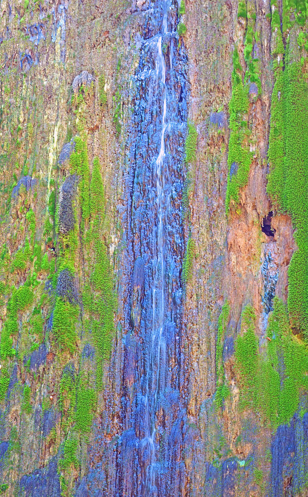 Falling spring water and moss on the rock.