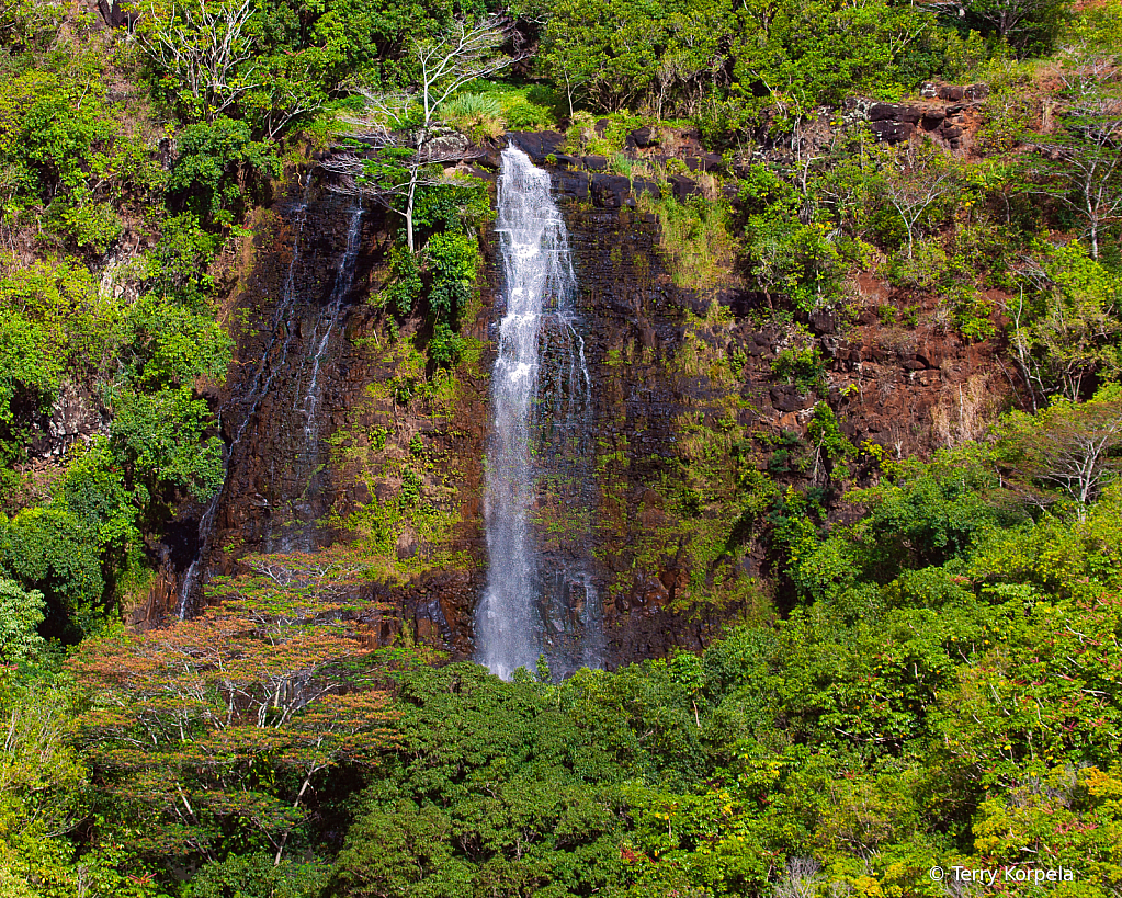 Opaeka's Falls Kauai