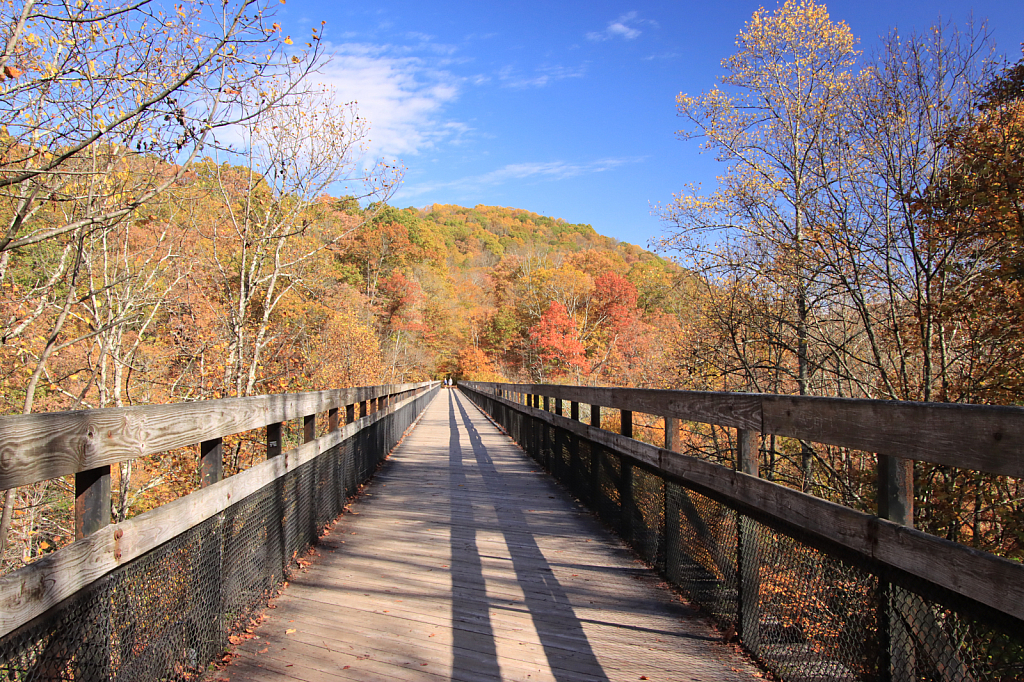 Walking into Fall