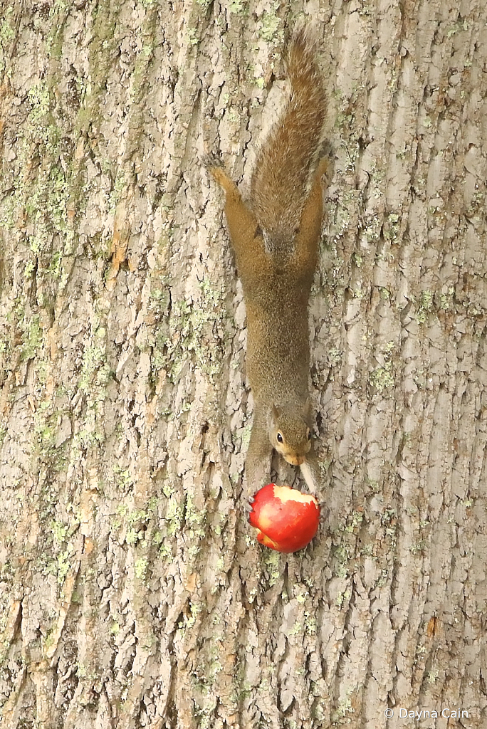 Hanging On