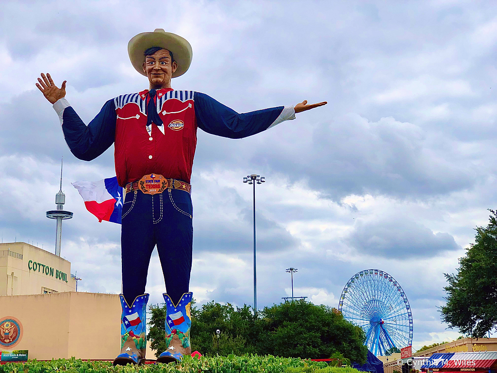 At the Texas State Fair 