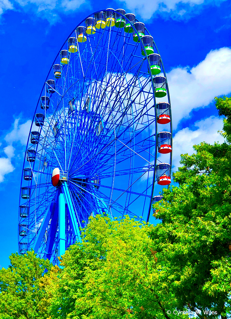 Ferris Wheel at the Texas State Fair 