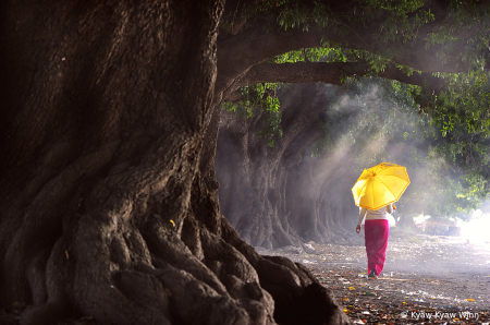 The Girl with Yellow Umbrella 