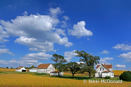 Autumn Soy and Farm